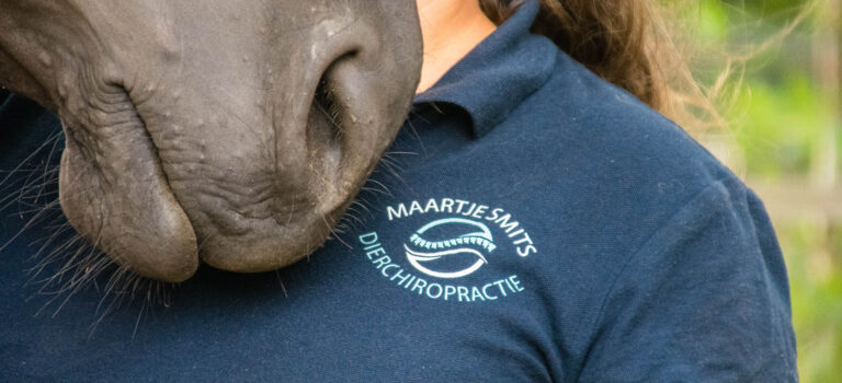 chiropractie paard hond